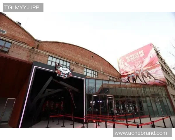 和平精英战术解析JDG战队反击体系的成功秘诀与实战应用