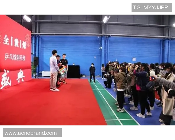 深圳乒乓球队转型之路的真实记录与成长历程探秘