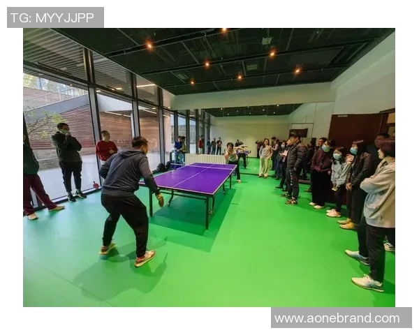 南京乒乓球队状态分析与发展展望聚焦乒乓球运动的未来与挑战