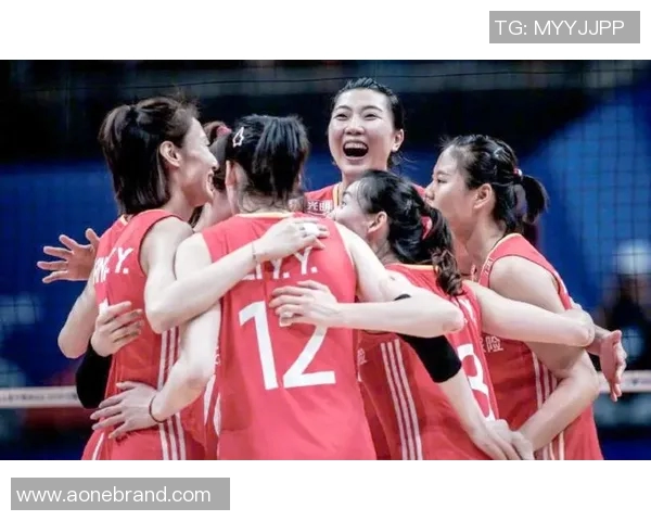 上海排球队状态对比深度解析与未来展望 上海排球队状态对比深度解析与未来展望