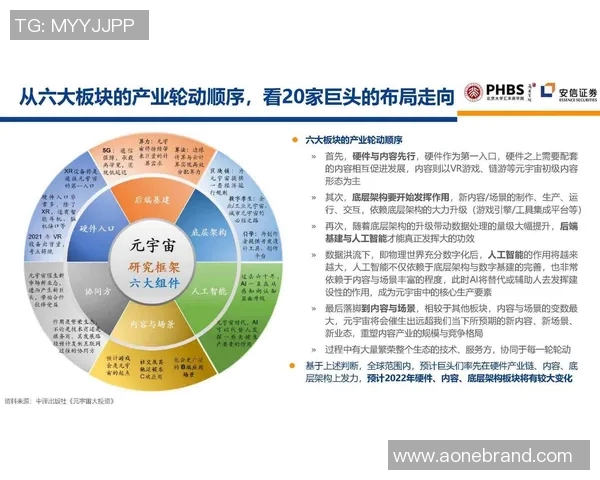 南京排球队速度分析与战术应用的深度探讨与启示