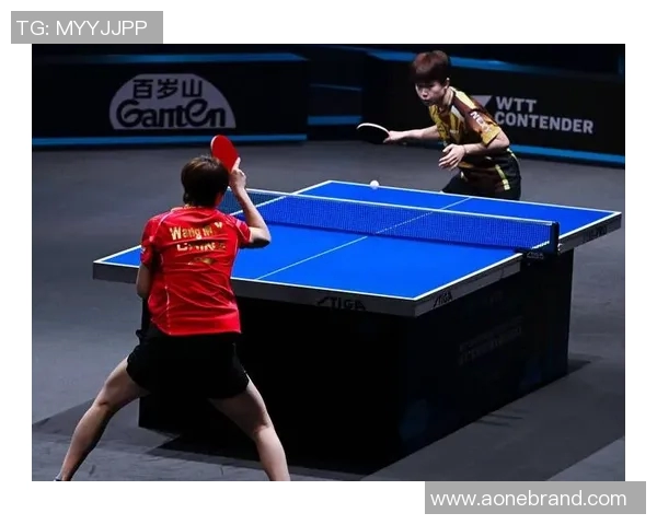 深圳乒乓球队进攻战术解析与技术特点深度剖析