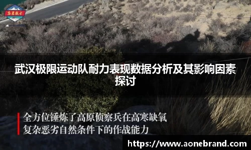 武汉极限运动队耐力表现数据分析及其影响因素探讨