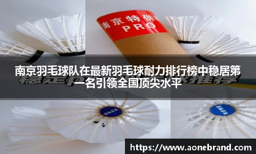 南京羽毛球队在最新羽毛球耐力排行榜中稳居第一名引领全国顶尖水平