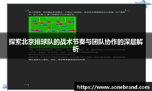 探索北京排球队的战术节奏与团队协作的深层解析