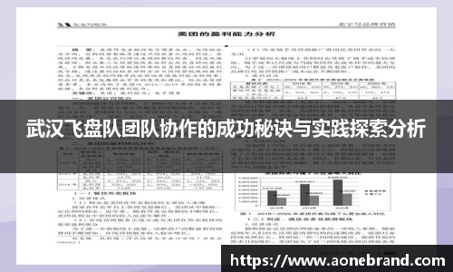 武汉飞盘队团队协作的成功秘诀与实践探索分析