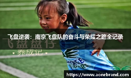 飞盘逆袭：南京飞盘队的奋斗与荣耀之路全记录
