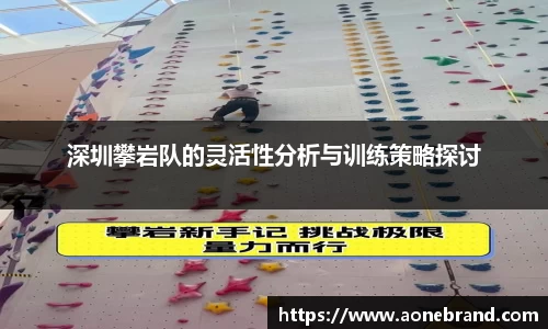深圳攀岩队的灵活性分析与训练策略探讨
