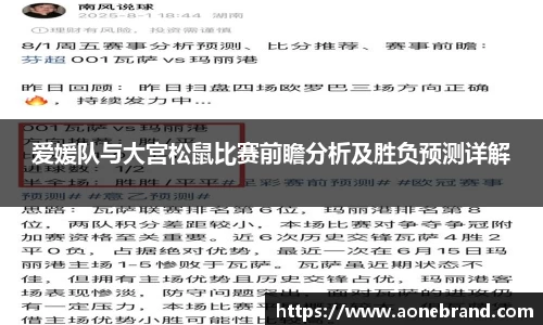 爱媛队与大宫松鼠比赛前瞻分析及胜负预测详解